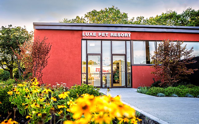 Luxe Pet Resort
