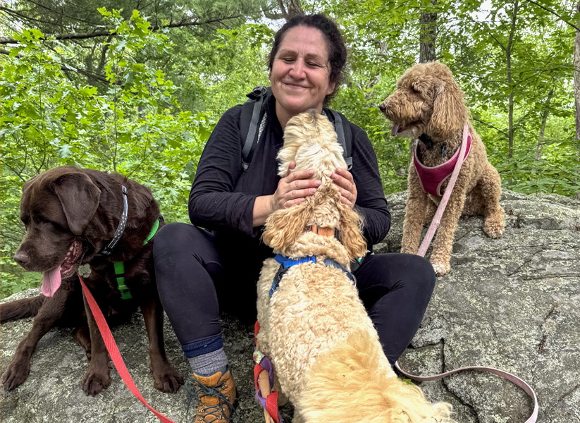 Luxe Dog Hiking West Roxbury - Happy Dogs