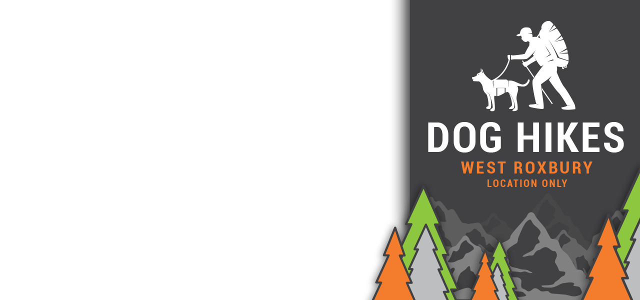 Luxe Hiking Background Image