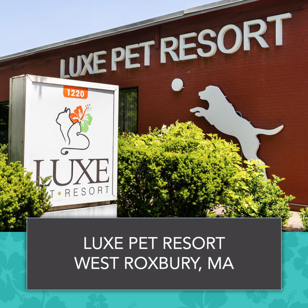West Roxbury, MA, Location - Luxe Pet resort